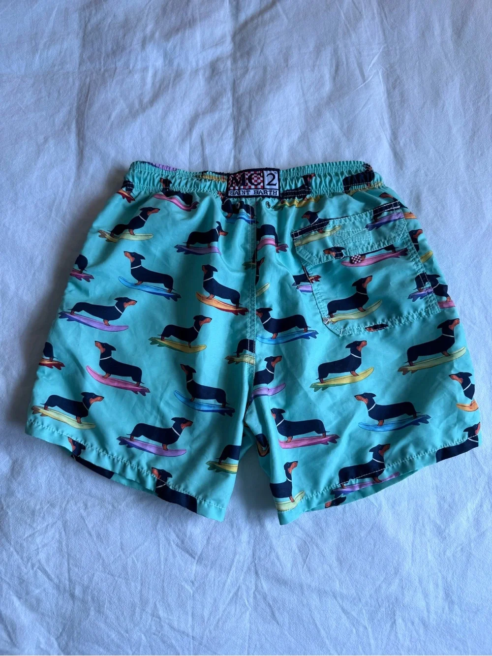 MC2 Saint Barth Aqua Swim Trunks with Multicolor Dachshund Surf Print - Picture 2 of 3